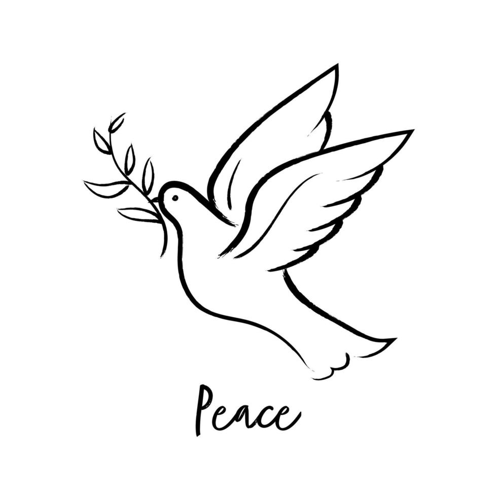 Flying dove holding olive branch hand drawing. Peace dove vector. vector