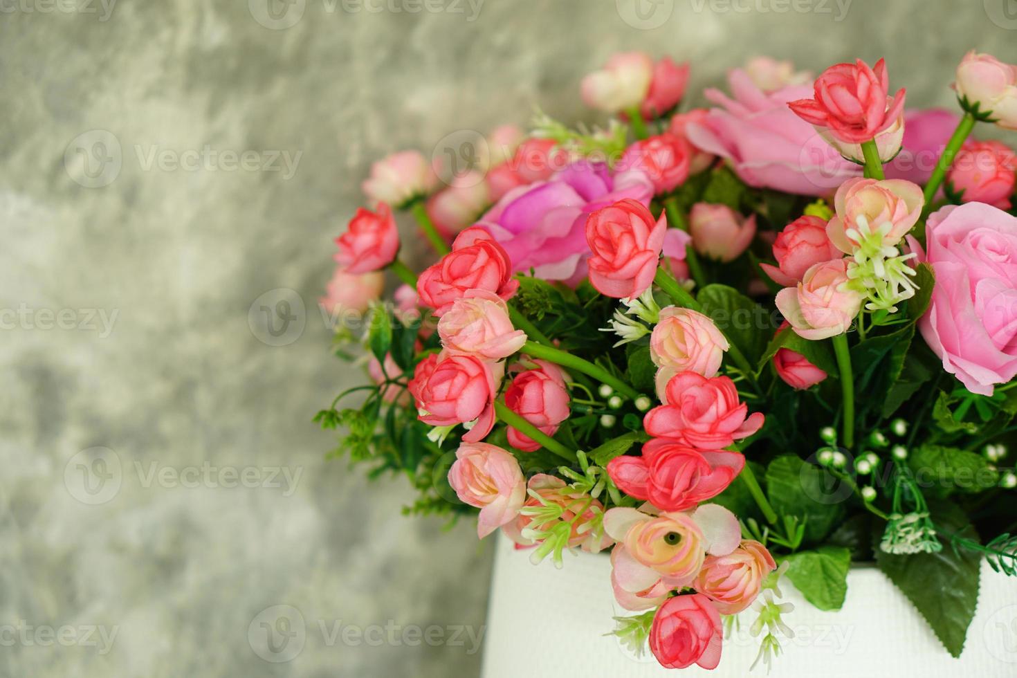 roses in pots cement wall background photo