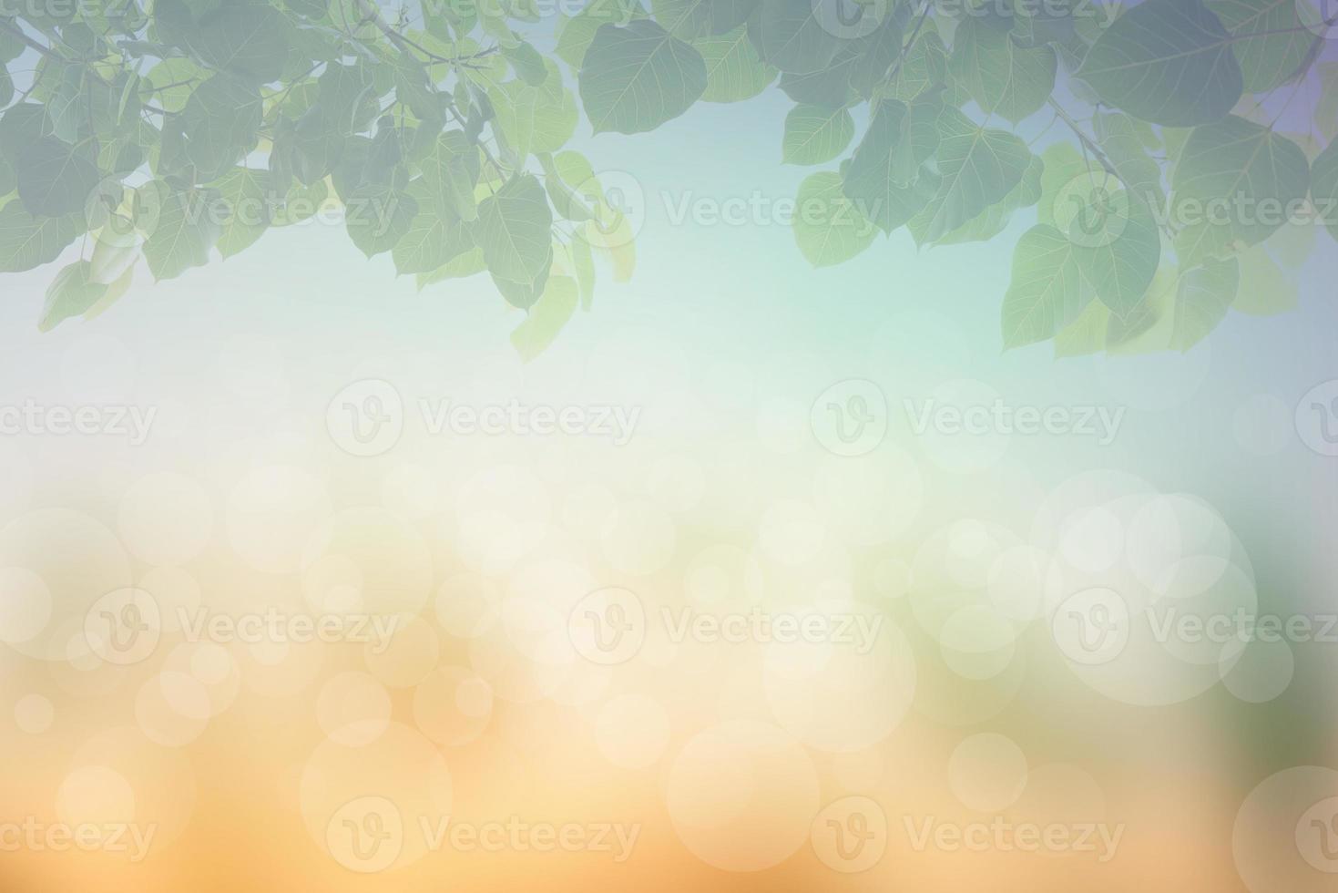 Blur circle bokeh green leaf background. Blurry yellow leaves ra photo