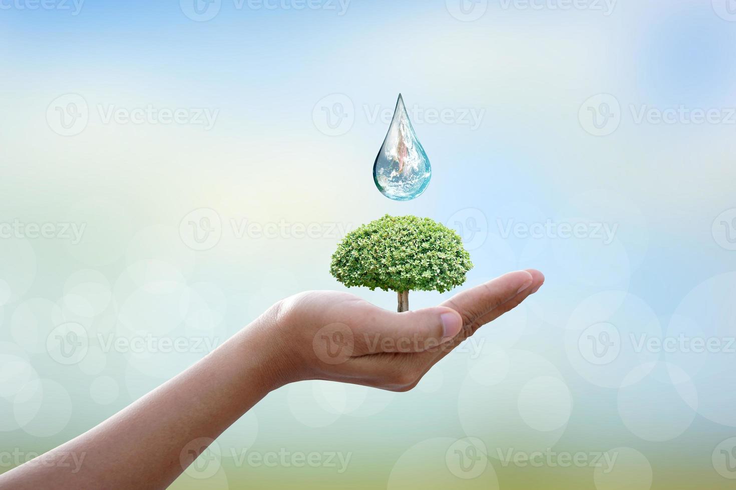 World Water Day. Water out of the tap. To preserve the environment for sustainability photo