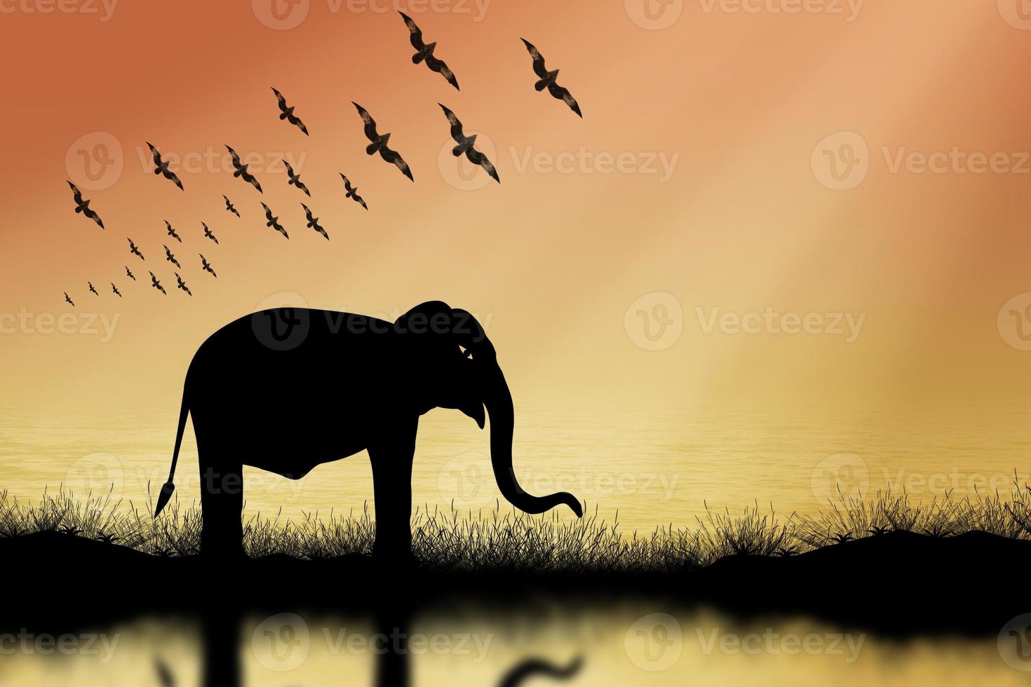 Silhouette elephant and bird background light from the sun. photo