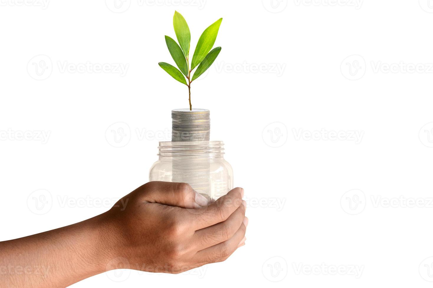 tree in a bottle on a human hand photo