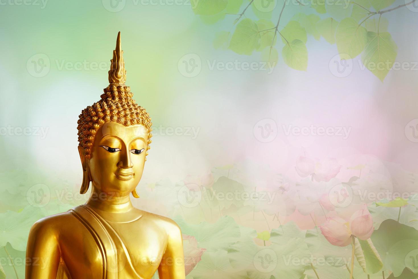 Buddha statue. background blurred flowers and sky with the light of the sun.Makha Bucha Day.Vesak Day.Asanha Bucha.Buddhist Lent. photo