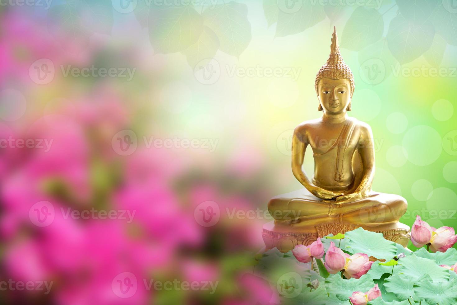 Buddha statue. background blurred flowers and sky with the light of the sun.Makha Bucha Day.Vesak Day.Asanha Bucha.Buddhist Lent. photo