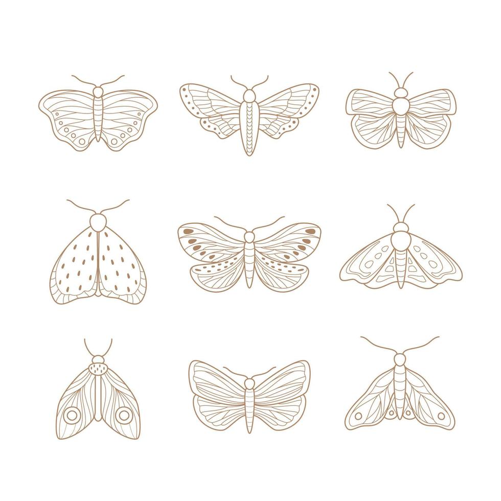 Set of hand drawn moth. Vector illustration