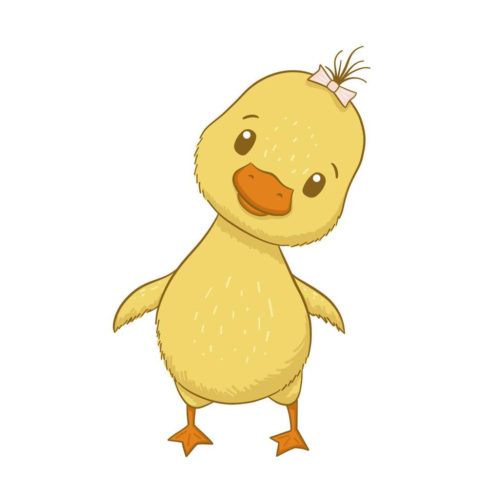 Cute baby duck isolated on white background -3 vector