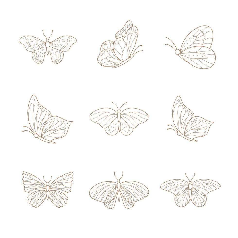 conjunto de mariposas dibujadas a mano. ilustración vectorial vector