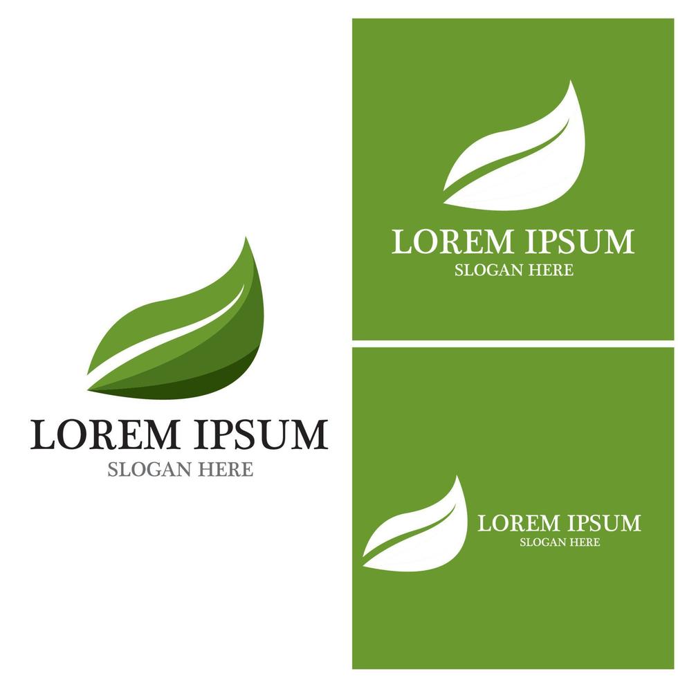 Nature leaf icon and symbol template vector