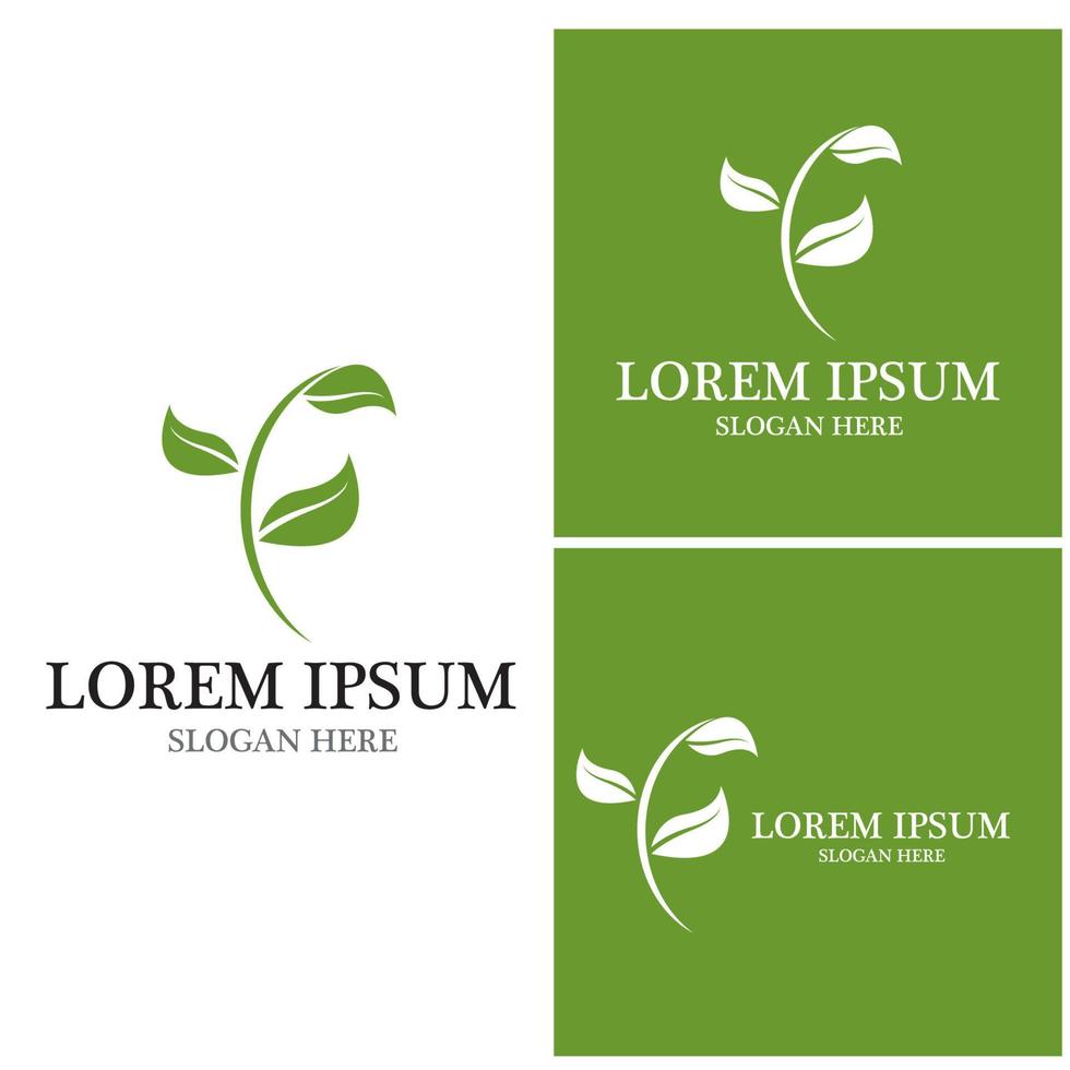 Nature leaf icon and symbol template vector