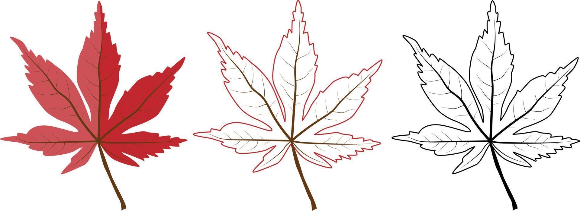 Set of different grape leaves. Includes colorful, contour and black outline leaves. vector