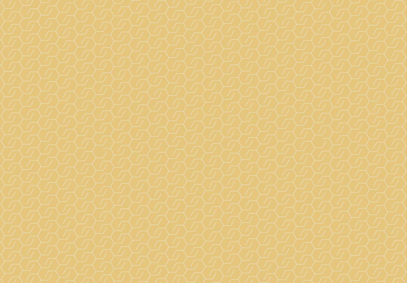 Geometric patterns. Abstract geometric hexagonal graphic background vector