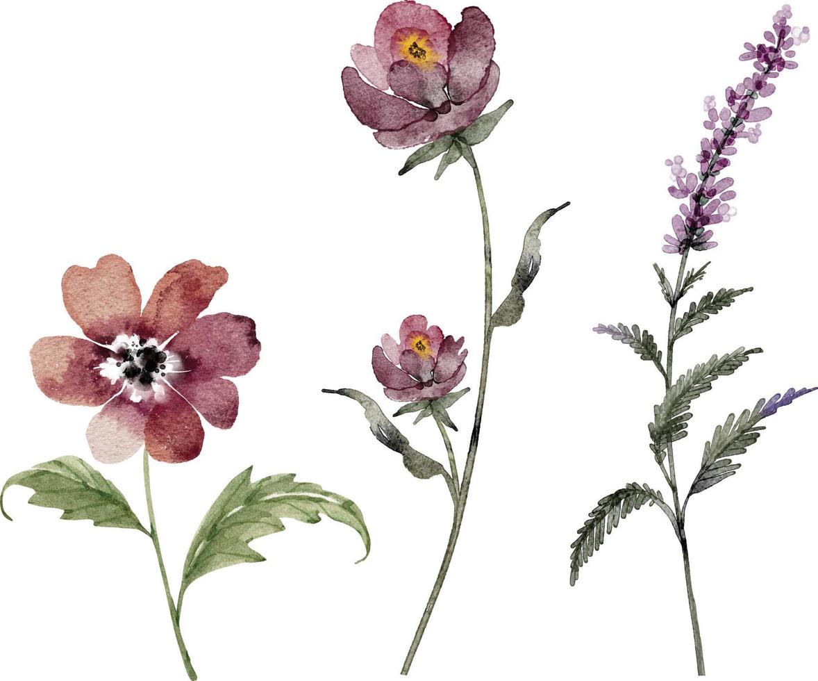 set of watercolor illustrations of pink flowers on a white background. vector