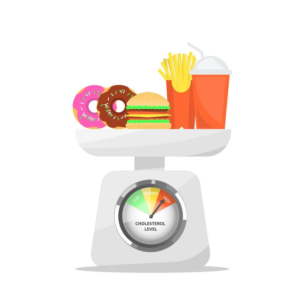 illustration of high calorie fast food vector