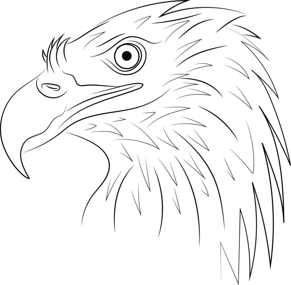 pájaro águila de contorno blanco y negro dibujado a mano simple aislado en un fondo blanco vector