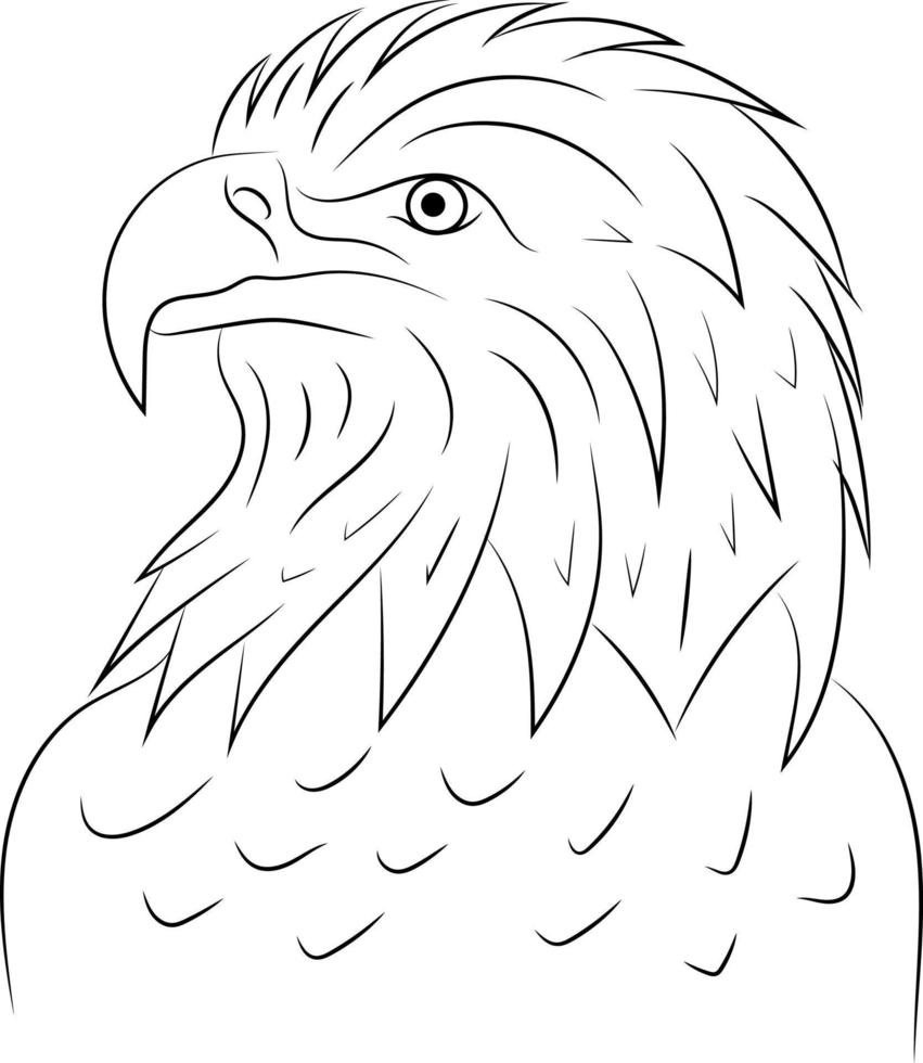 Simple Hand Drawn Black and White Outline Eagle Bird Isolated In A White Background vector