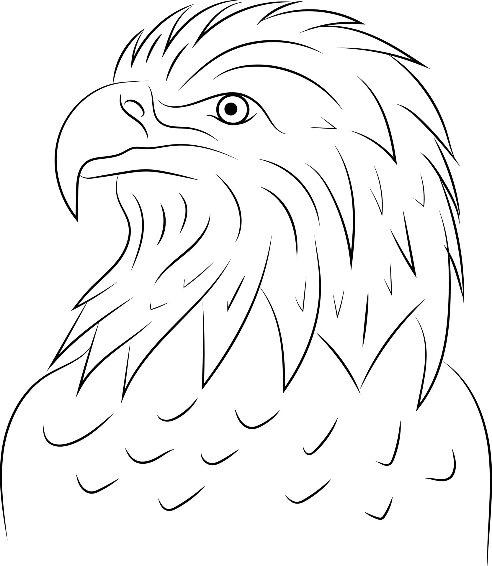 Simple Hand Drawn Black and White Outline Eagle Bird Isolated In A White Background 7942228 Vector Art at Vecteezy Simple Hand Drawn Black and White Outline Eagle Bird Isolated In A White Background 7942228 Vector Art at Vecteezy