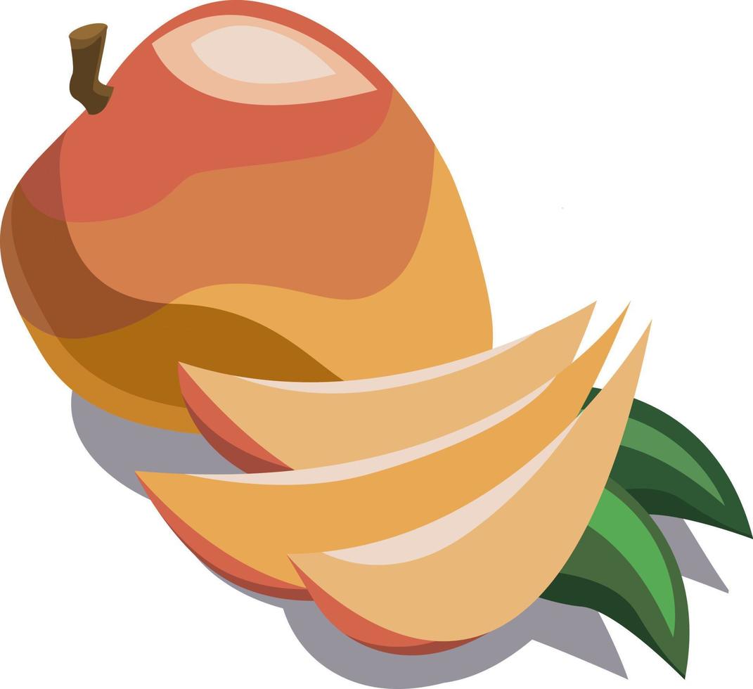 fruta de mango isométrica vectorial sobre fondo blanco vector