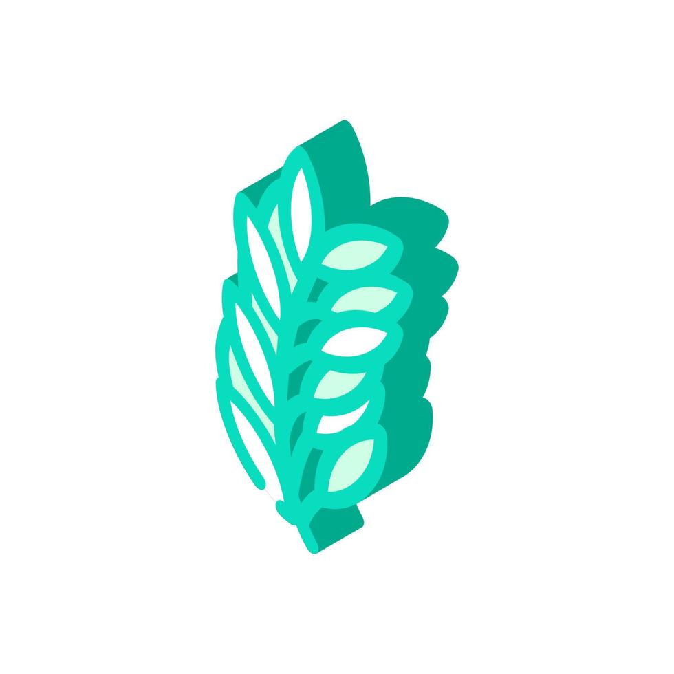 rosemary leaves isometric icon vector illustration