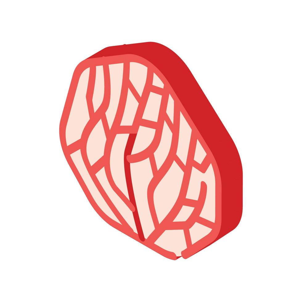 underwater coral isometric icon vector illustration isolated