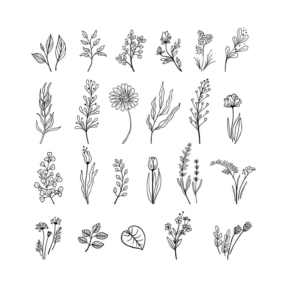 conjunto de diferentes plantas de color negro dibujadas a mano. ramas, hojas y flores en blanco y negro vector