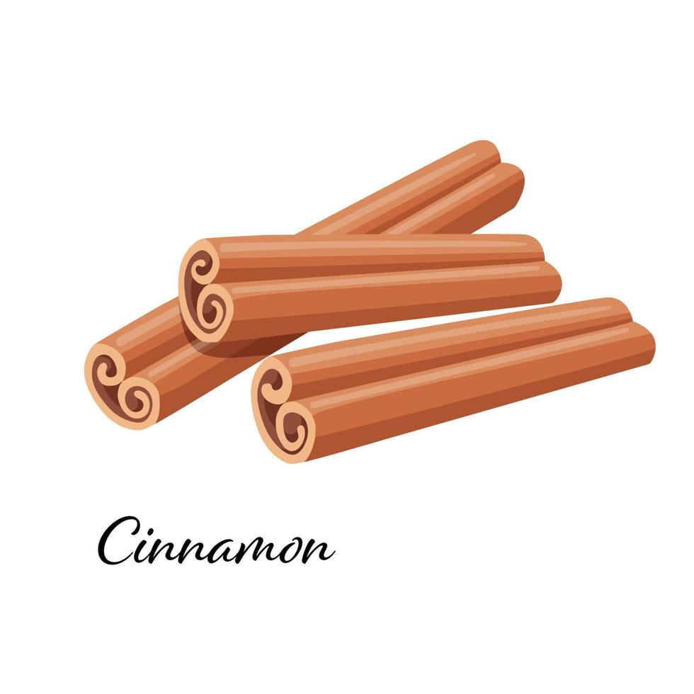 Three rolled sticks of cinnamon. Aromatic spice. Condiment for dishes. Detailed cartoon vector illustration isolated on white.