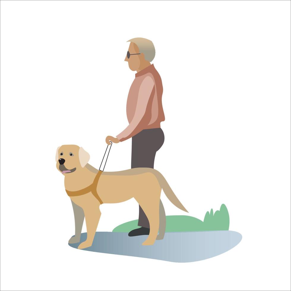 Blind man walk outdoor with guide dog assistance. Professional trained pet puppy help disabled impaired guy on streets. Visual impairment concept. Service animal and people. Vector illustration.