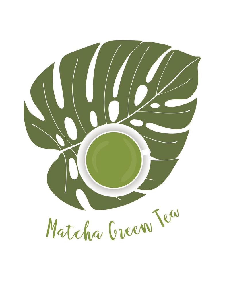 Matcha green tea mug monstera leaf. Healthy drink lifestyle. For banner, backdrop, design. Vector