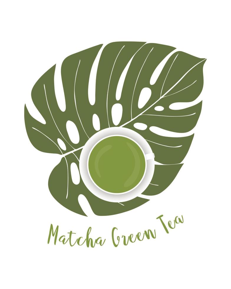 taza de té verde matcha hoja de monstera. estilo de vida de bebida saludable. para banner, telón de fondo, diseño. vector