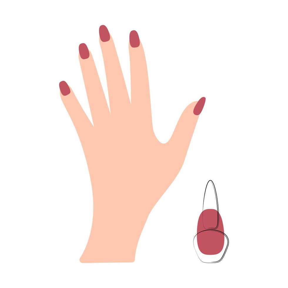 Hand with manicure, manicure salon care. Nail polish. Isolated, white background. Vector