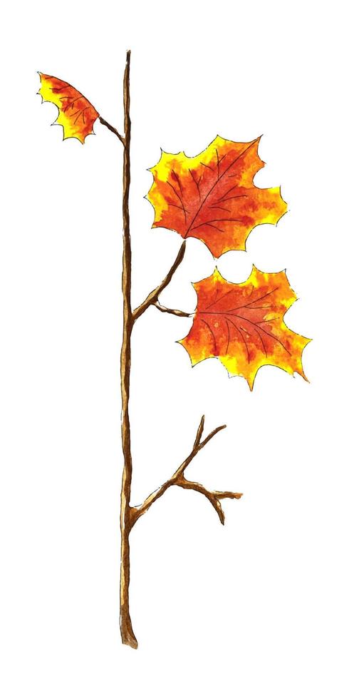 Autumn postcard template Maple branch with lettering Hello October, watercolor sketch, hand drawing. Isolated, white background. Vector