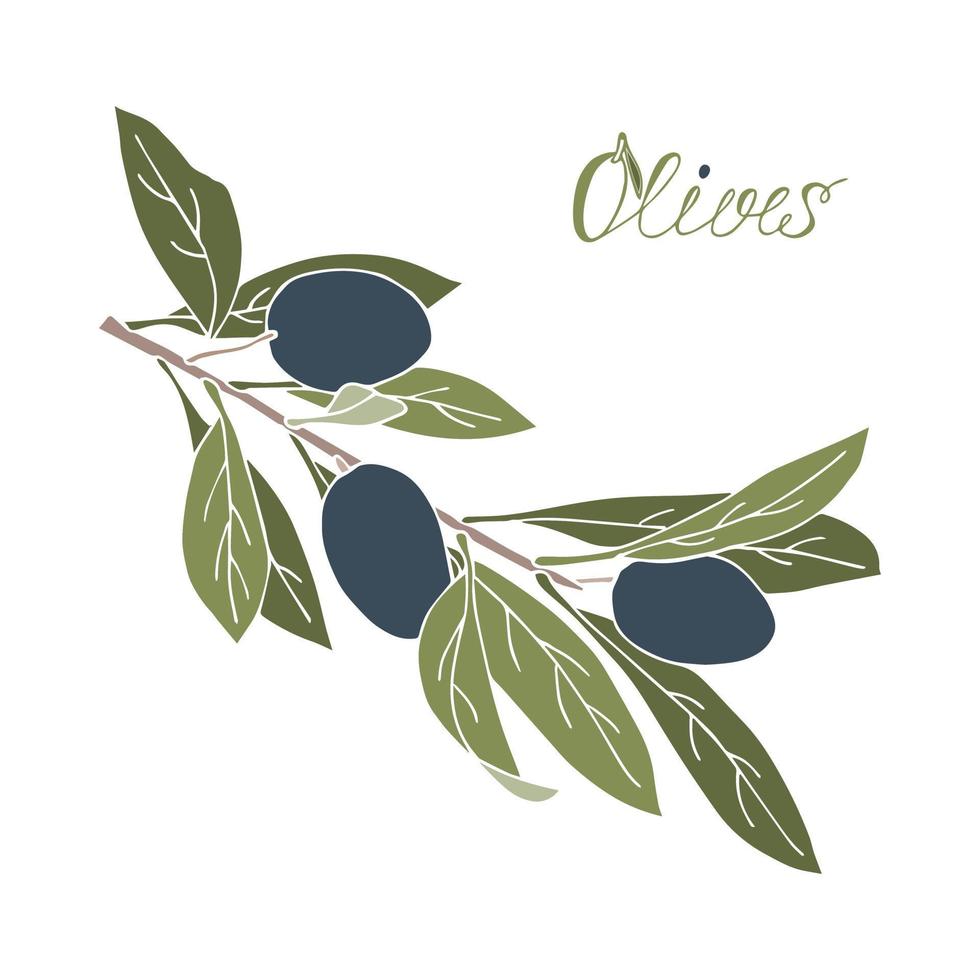 Olive branch green and blue doodle style, isolated, white background. vector