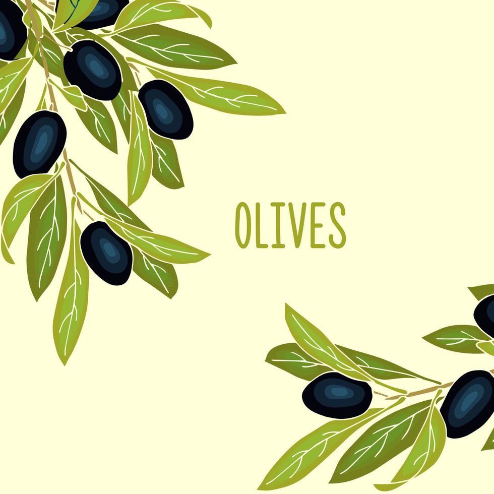 fondo de banner de aceitunas con bayas de aceituna maduras y lugar para el texto. maquetación o diseño de pancartas para aceite de oliva y cosmética natural, productos para el cuidado de la salud. vector