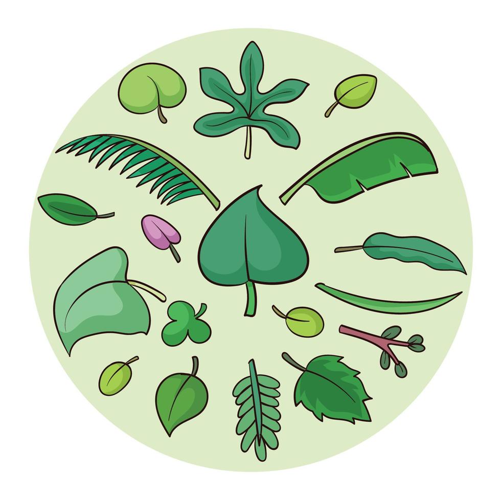 Vector of various types of leaves