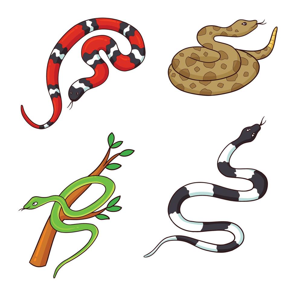 hand drawn snake collection 1 vector