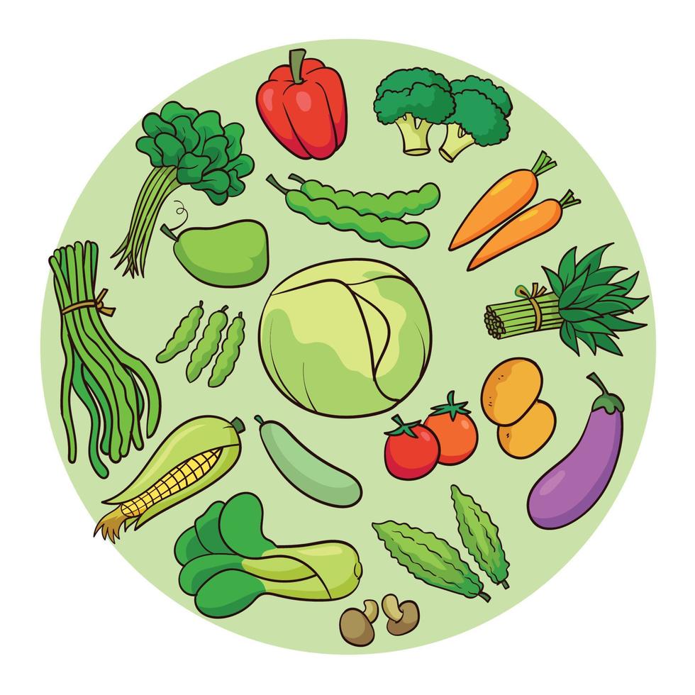 Various types of fresh vegetables vector