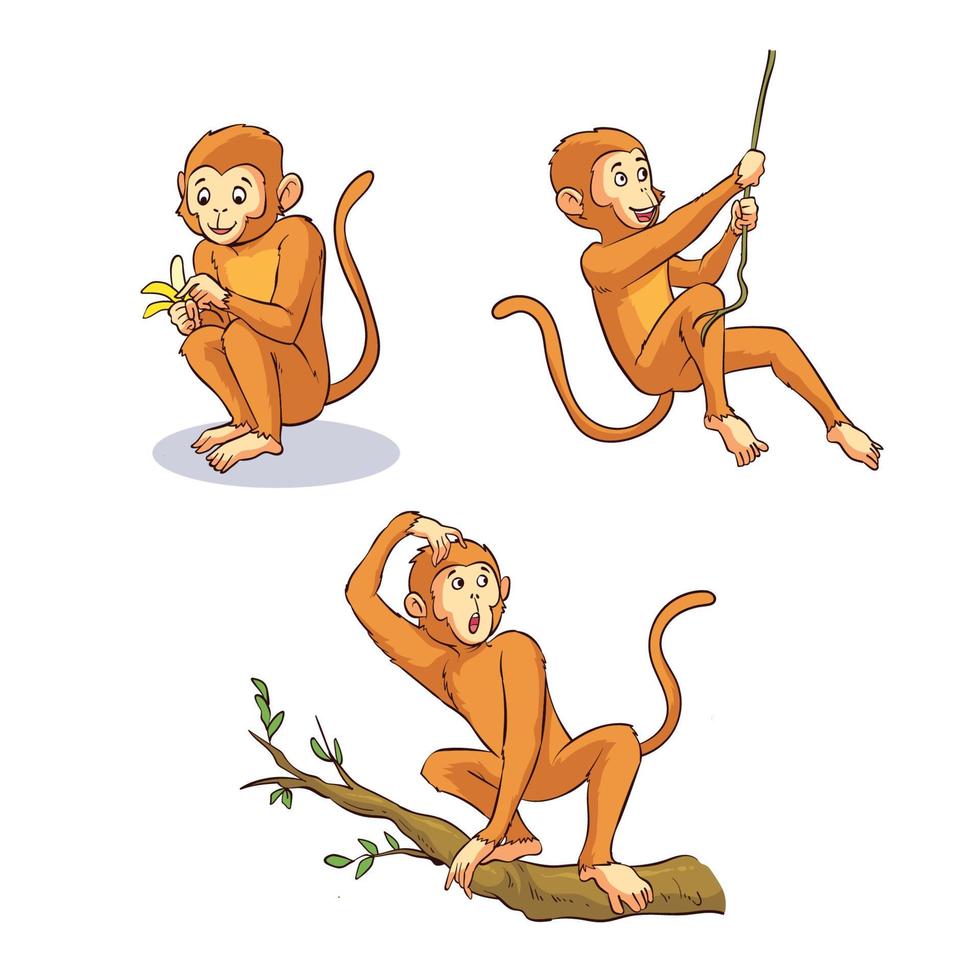 hand drawn cute monkey collection vector