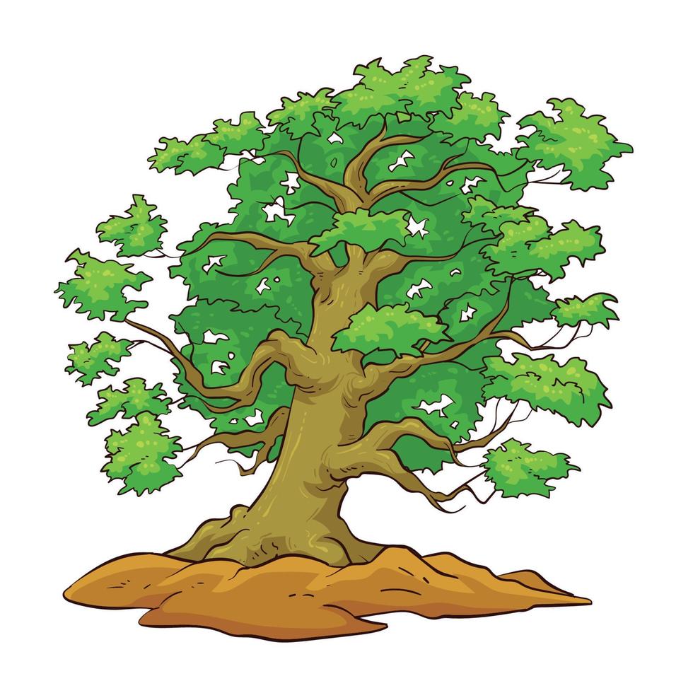 hand drawn oak tree 1 vector