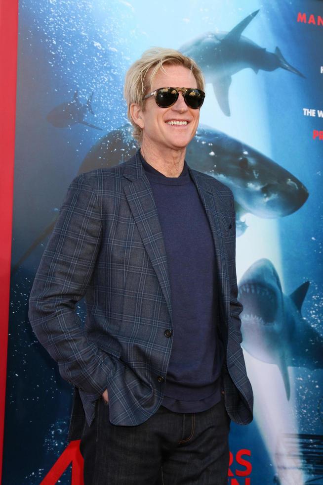 LOS ANGELES   JUN 12 - Matthew Modine at the  47 Meters Down  Premiere at the Village Theater on June 12, 2017 in Westwood, CA photo