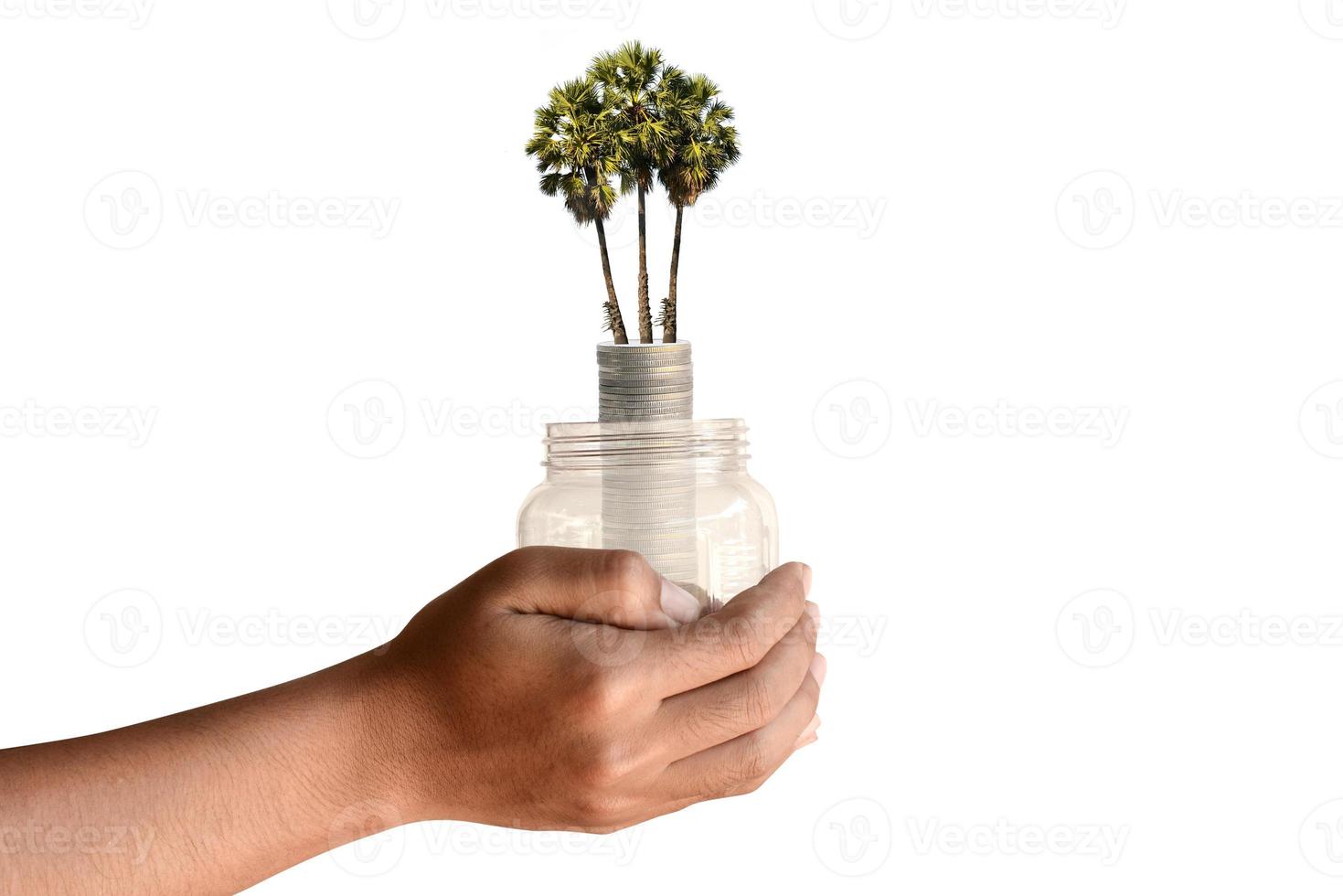 tree in a bottle on a human hand photo