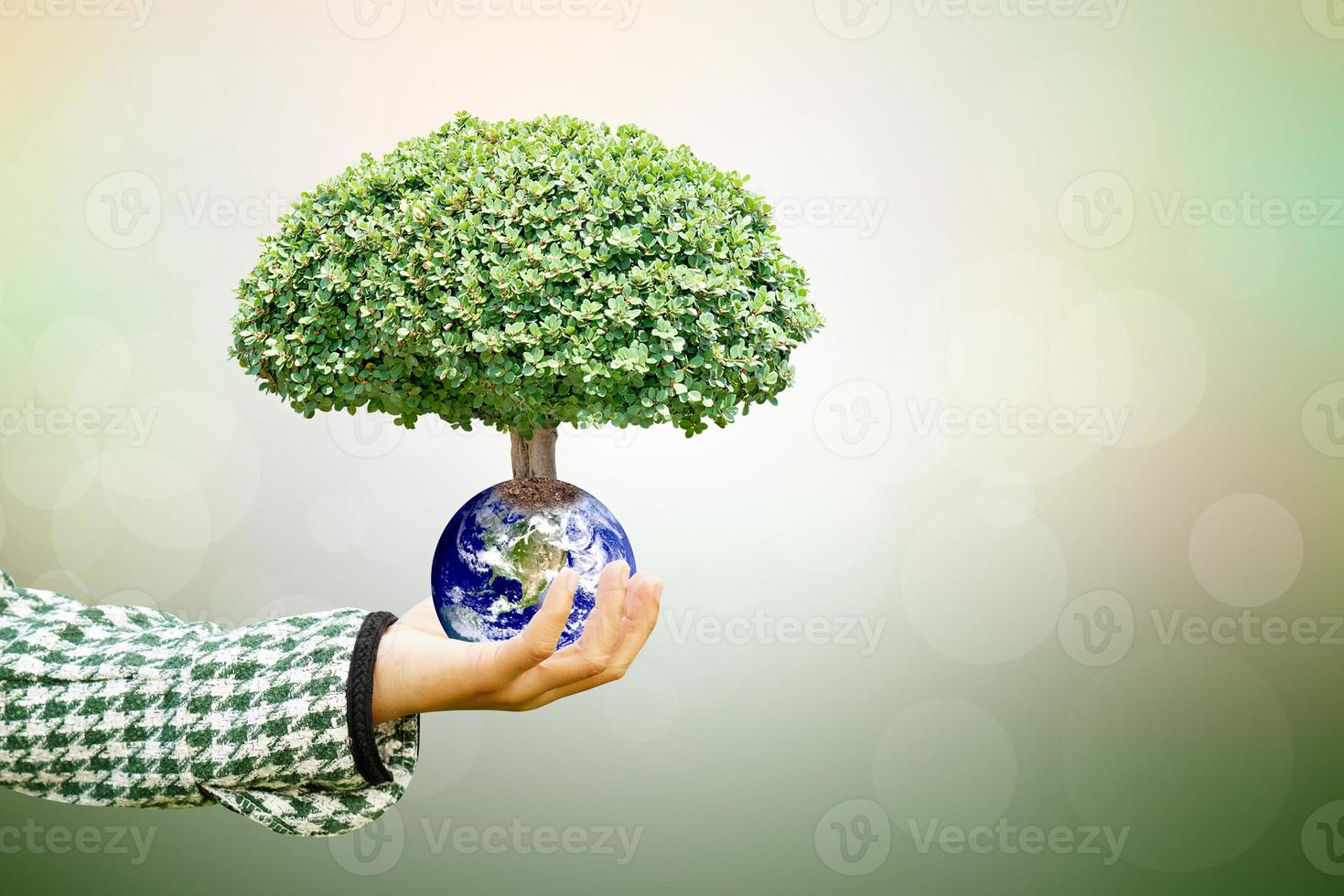 National Annual Tree Care Day.World environment day.Human hand holding  tree and world on blurred nature background photo