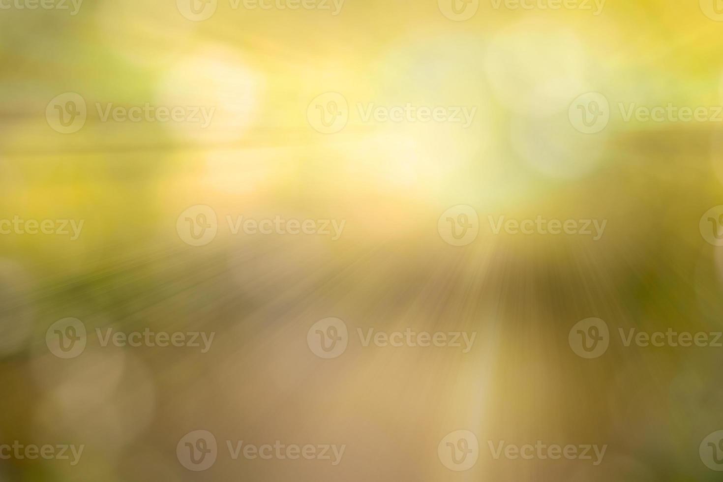 Blur Leaf bokeh background photo