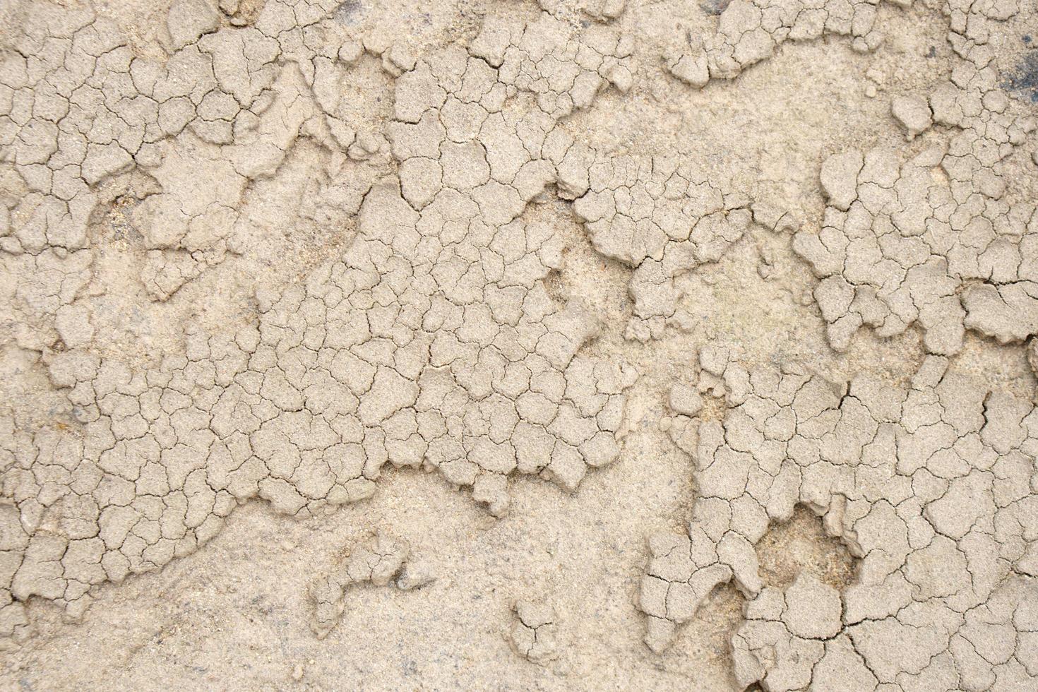 cracked soil background from drought photo