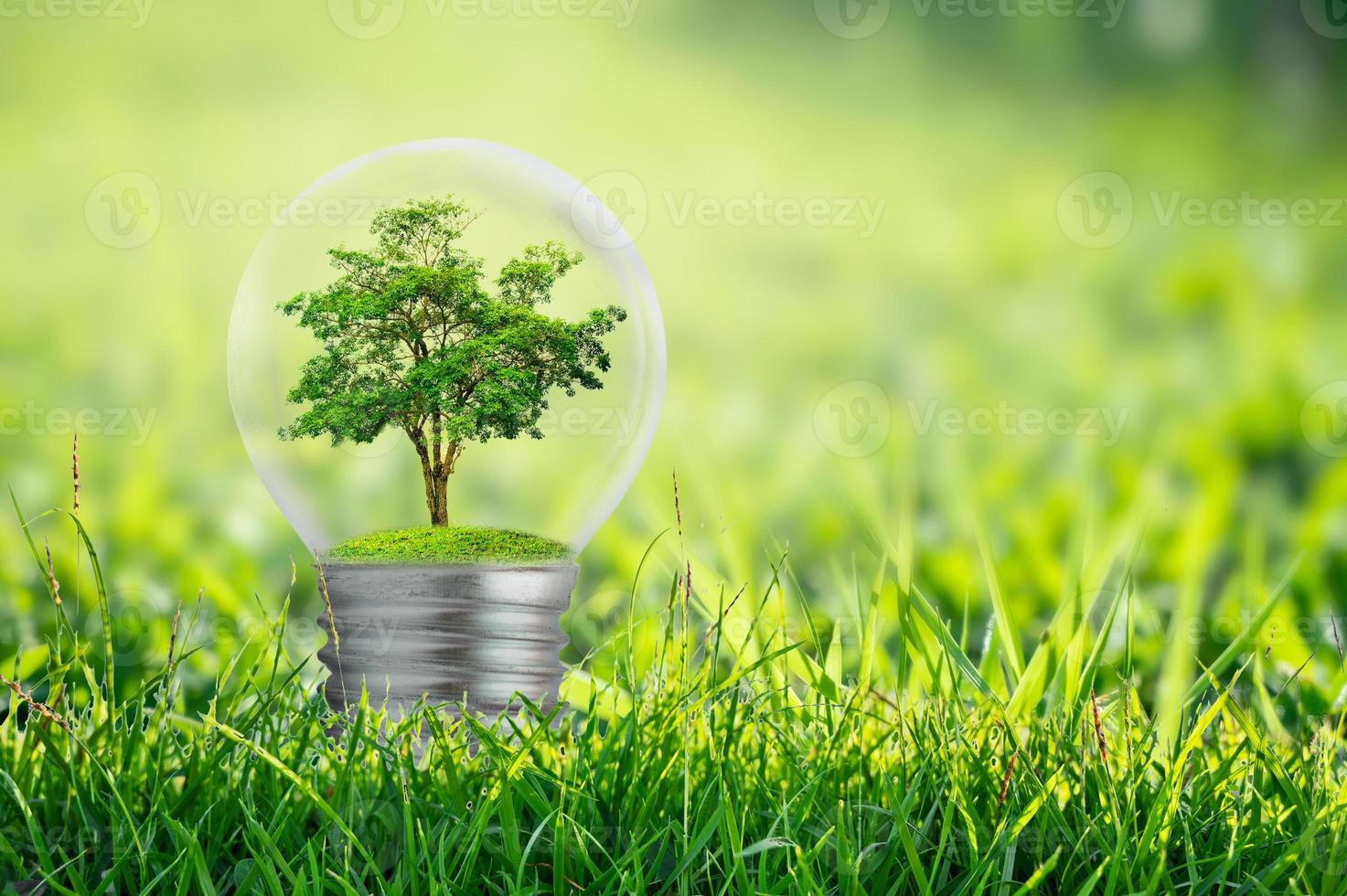The bulb is located on the inside with leaves forest and the trees are in the light. Concepts of environmental conservation and global warming plant growing inside lamp bulb over dry photo