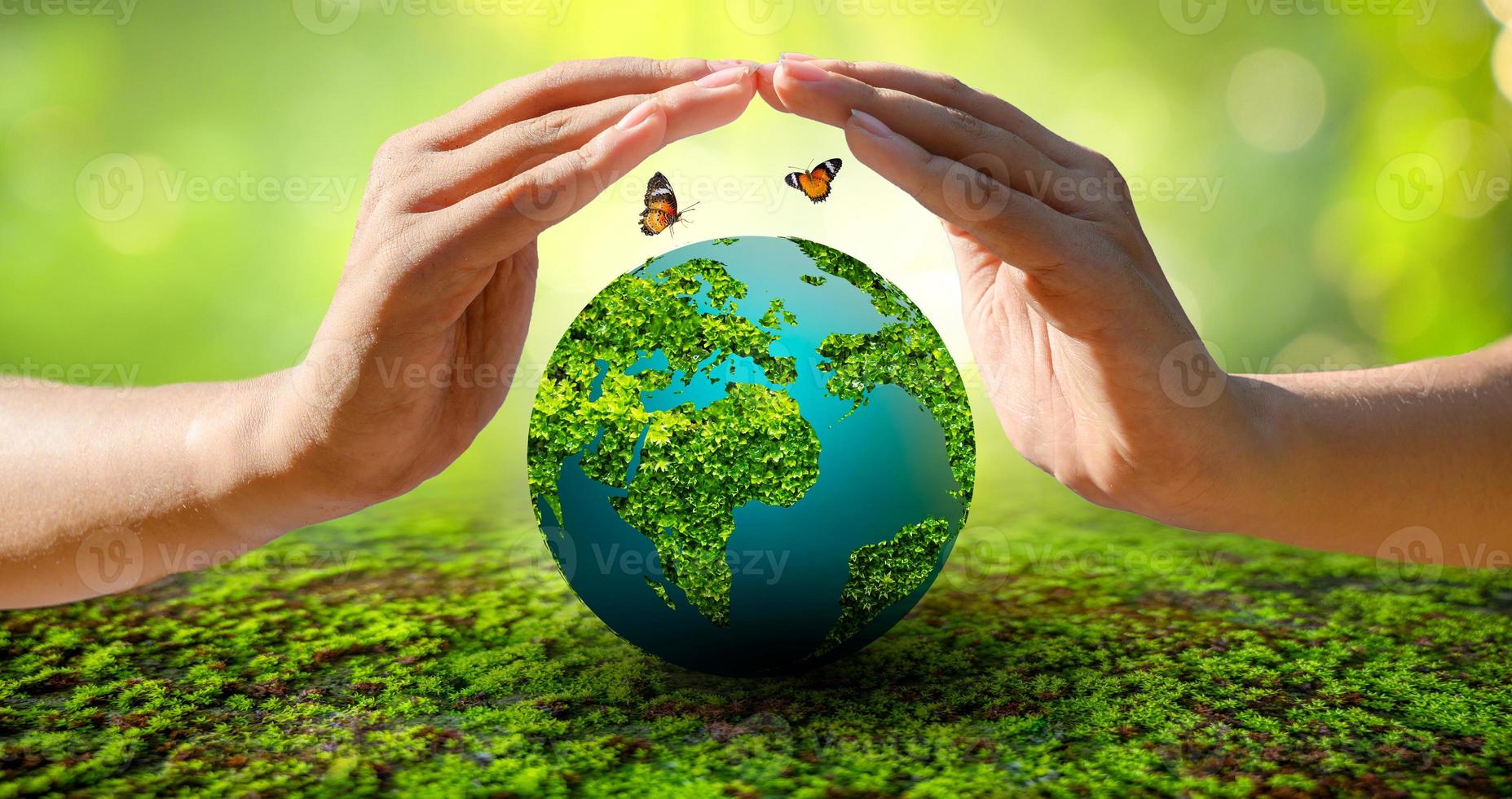 Concept Save the world save environment The world is in the grass of the green bokeh background photo