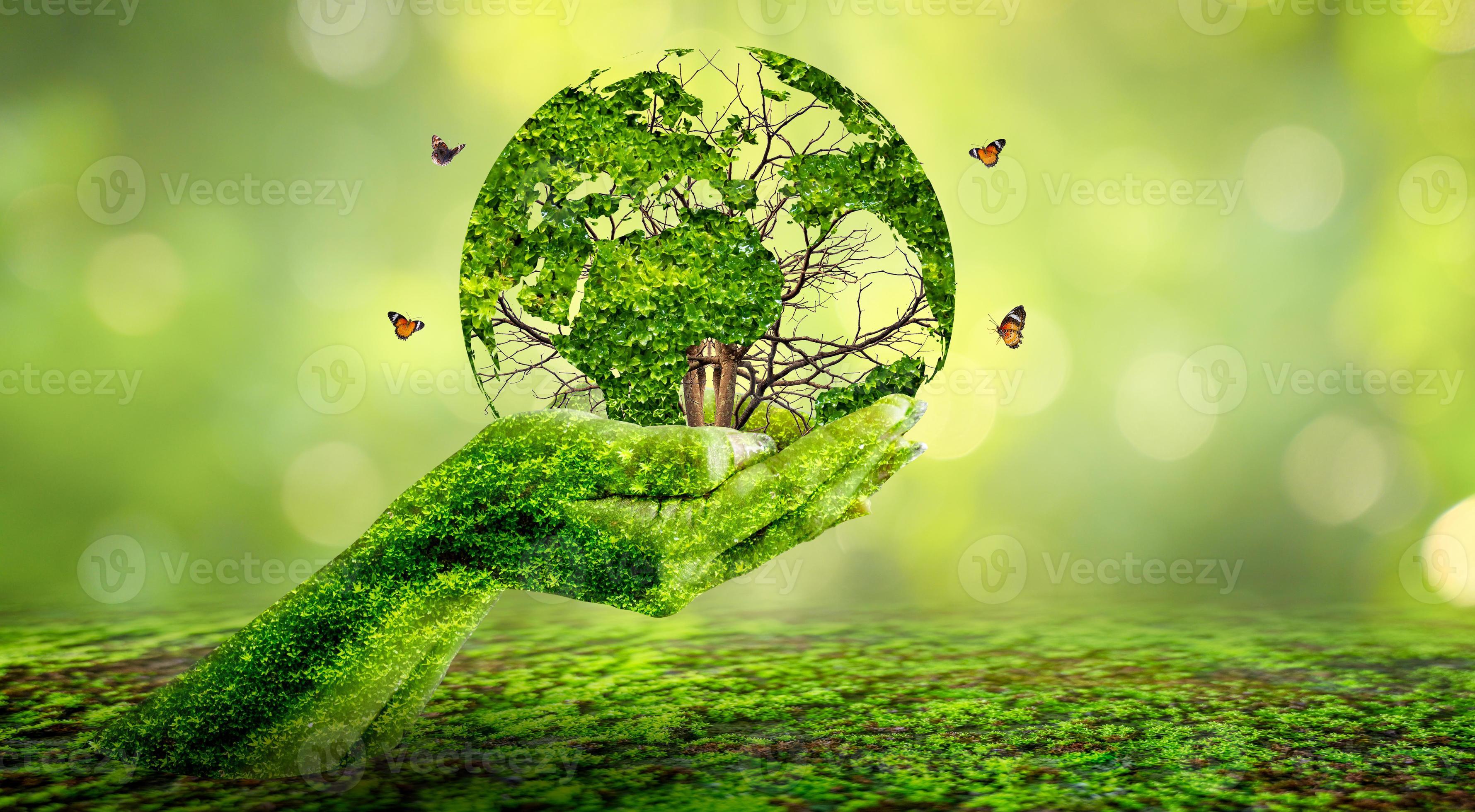 Concept Save the world save environment The world is in the grass of the  green bokeh background 7950584 Stock Photo at Vecteezy