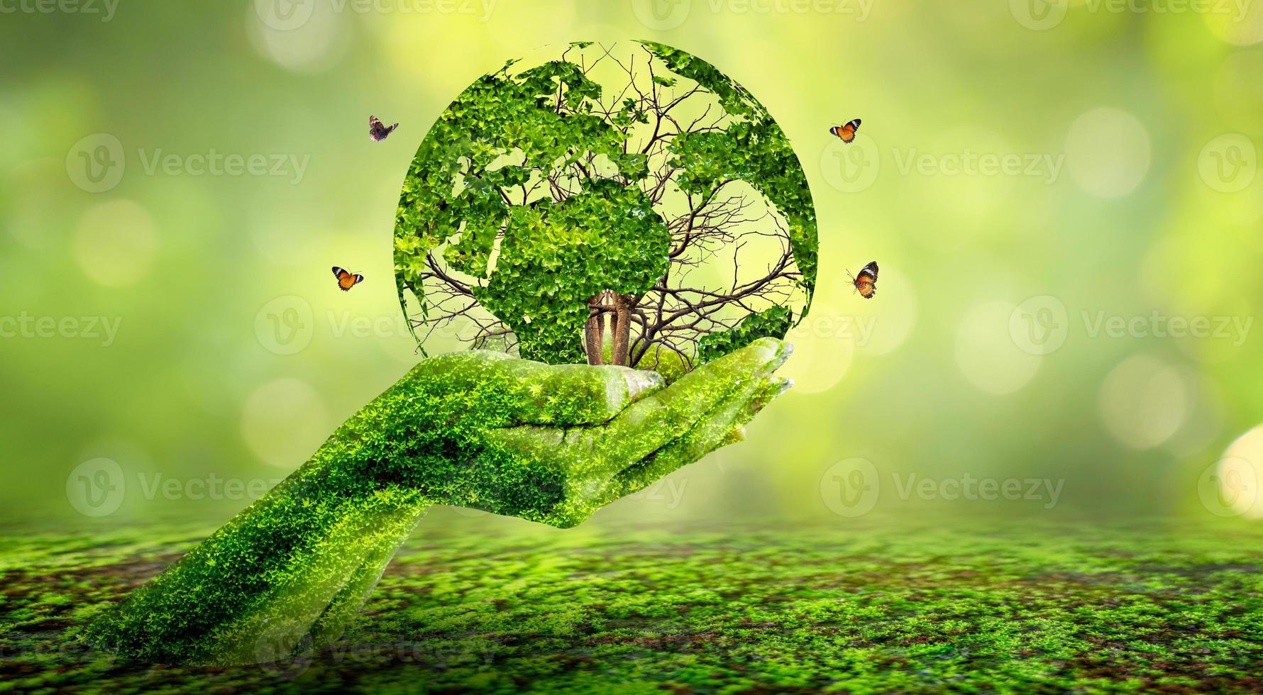 concepto salvar el mundo salvar el medio ambiente el mundo está en la hierba del fondo verde bokeh foto