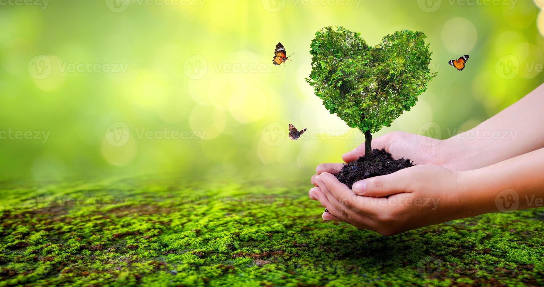 mano sosteniendo un corazón árbol medio ambiente día de la tierra foto