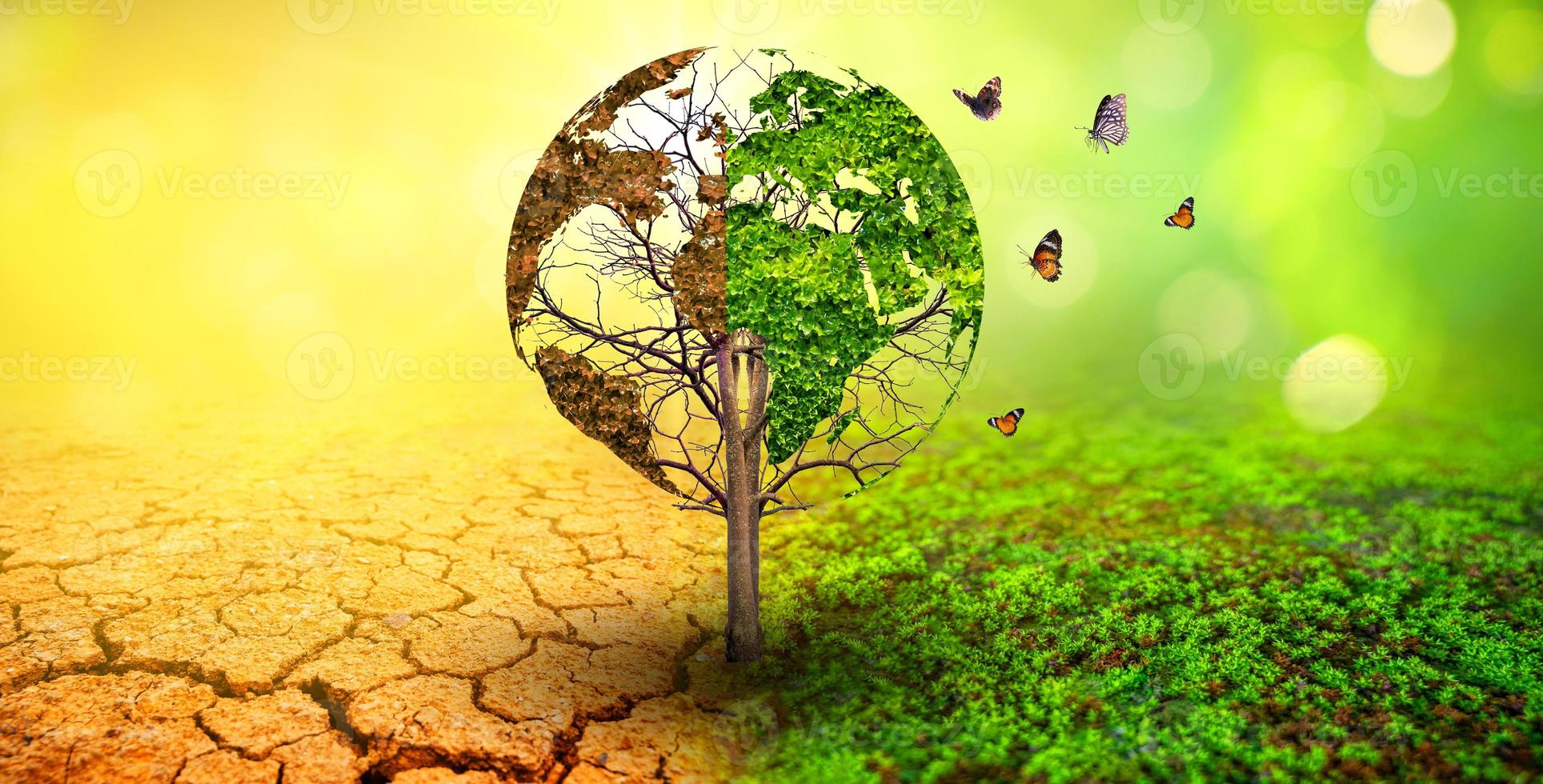 tree in two  with very different environments Earth Day or World Environment Day Global Warming and Pollution photo