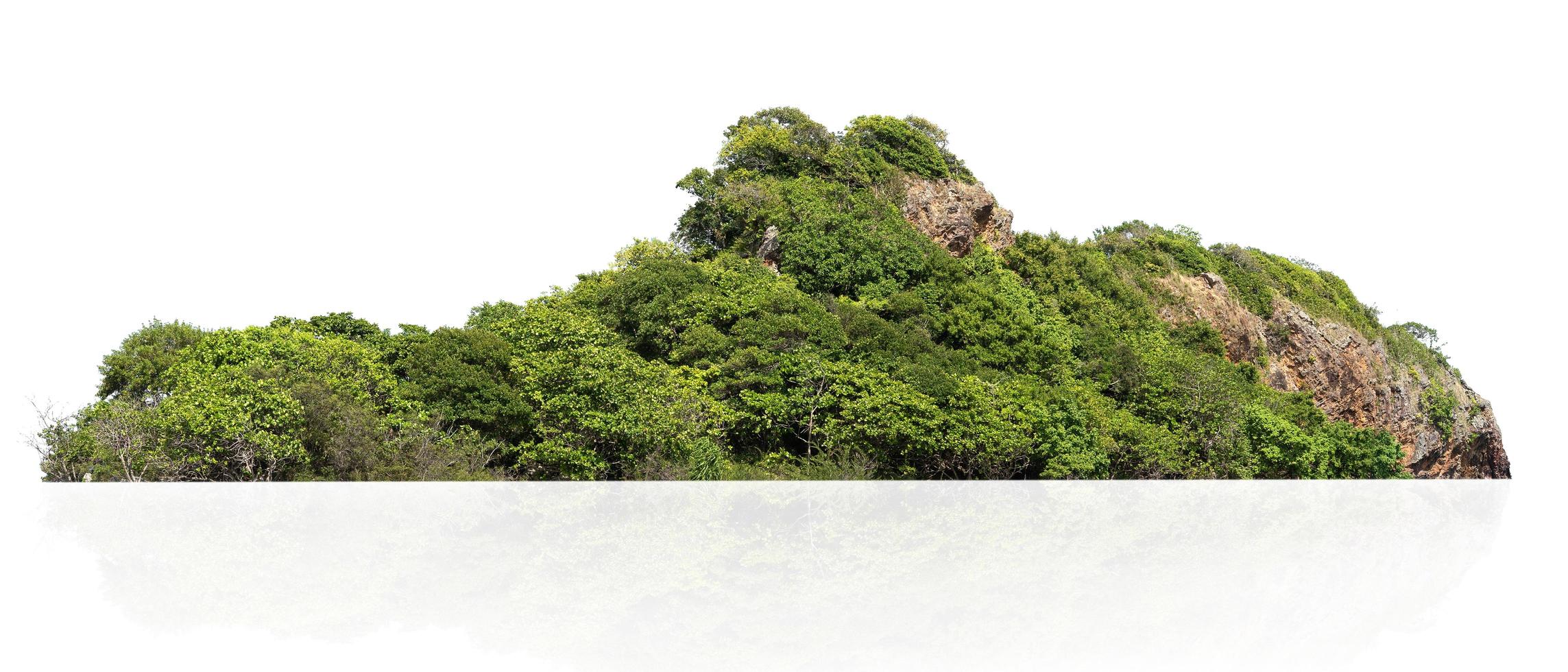 colina de montaña rocosa con bosque verde aislado sobre fondo blanco foto