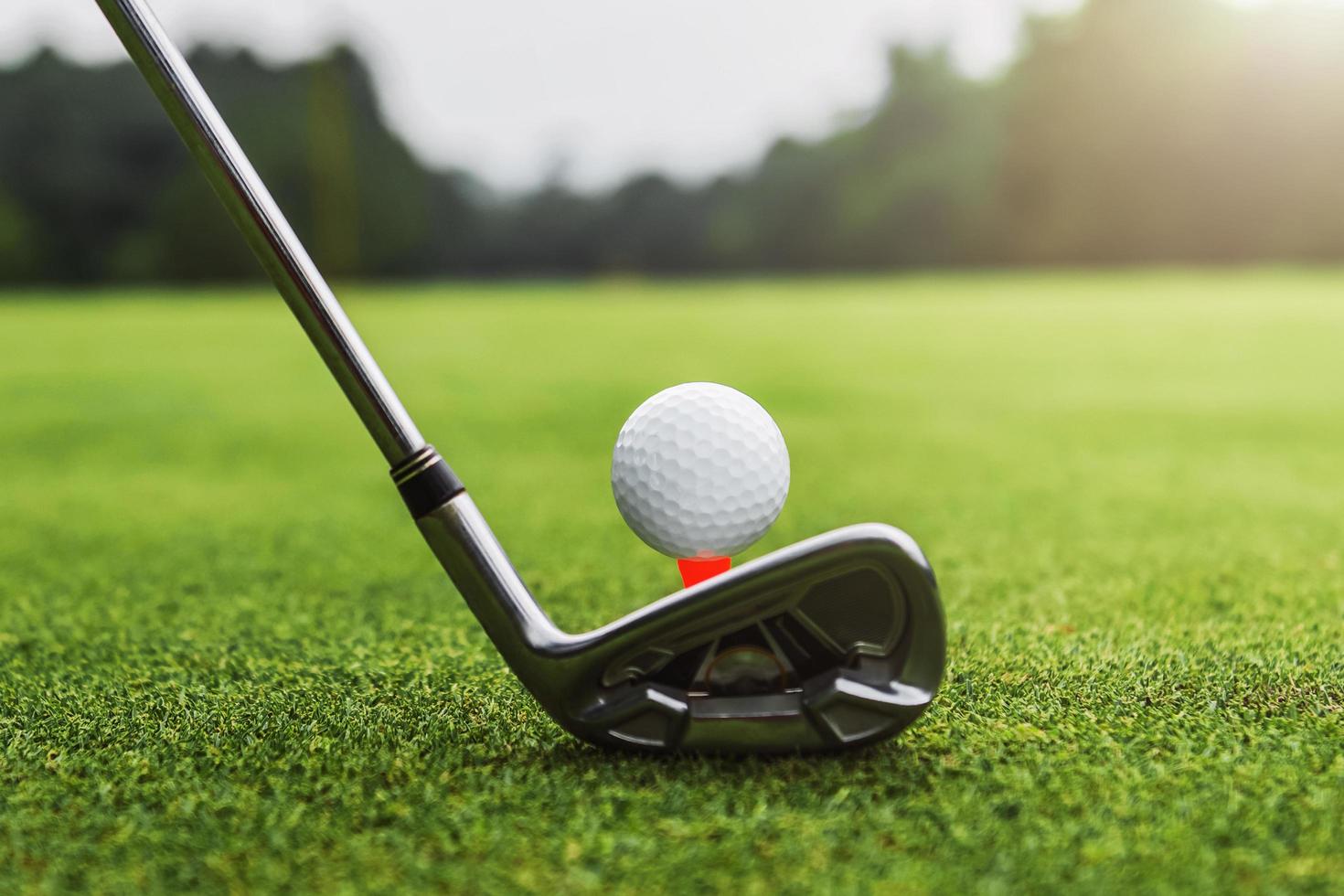 closeup golf club and golf ball on green grass wiht sunset photo